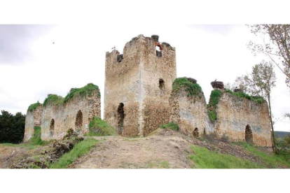 Imagen de archivo del castillo de Villapadierna, que llevaba siglos en situación de desamparo. CAMPOS