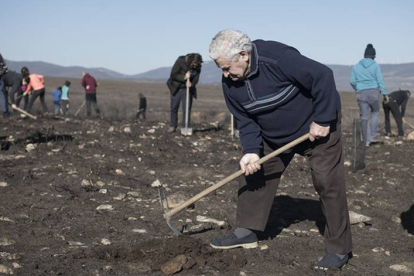 Los mayores también se sumaron a la plantación de árboles. DL