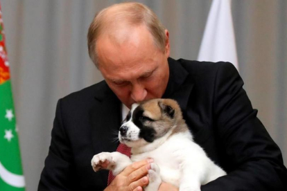 El presidente ruso Vladimir Putin  besa un perro pastor de Asia Central.