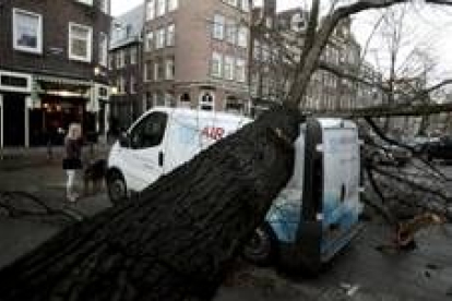 Un árbol caído sobre una furgoneta en una calle de la ciudad holandesa de Amsterdam