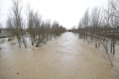 La zona comprendida entre Carrefour y los huertos de la Candamia ha quedado completamente inundada. MARCIANO PÉREZ
