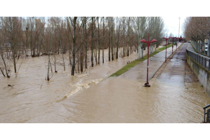 La zona comprendida entre Carrefour y los huertos de la Candamia ha quedado completamente inundada.  DL