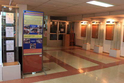 Aspecto que presentaba ayer el interior de la sede del IEB,donde se está montando la exposición.