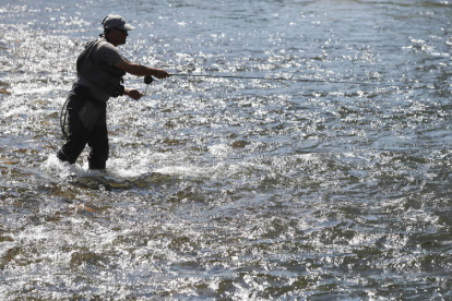 El río Órbigo se convirtió en el epicentro nacional de la pesca a lo largo de cuatro días. JESÚS F. SALVADORES