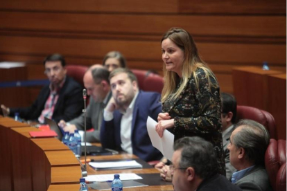 La procuradora leonesa del PSOE Gloria Acevedo.