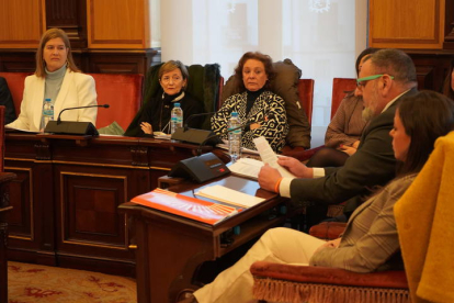 El Pleno se pronunció sobre la vuelta de los trenes de Feve a León. J. NOTARIO