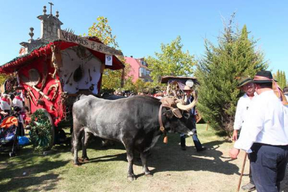 Foto: Secundino Pérez