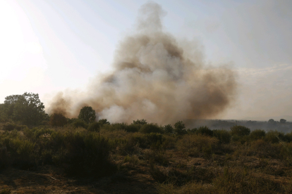 El humo es visible desde varios kilómetros de distancia. FERNANDO OTERO
