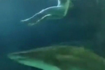 Una de las imágenes del vídeo en al que se ve al hombre desnudo mientras los tiburones del Acuario de Toronto le pasan por debajo, el pasado viernes