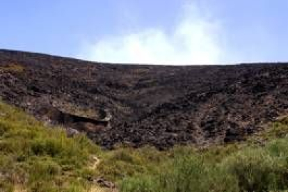 Una de las zonas de monte bajo que han perecido bajo las llamas en el entorno de Anllarinos