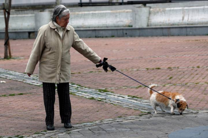 Una señora pasea a su perro por Madrid. MARISCAL