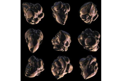 Detalle de los cráneos mutantes que forman parte de «Fin»