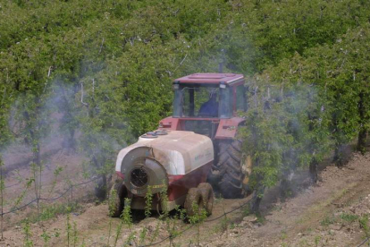 Un agricultor aplica un tratamiento en una parcela de manzanos, en el Bierzo. De la Mata