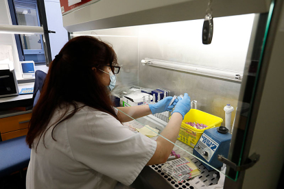 Una sanitaria prepara muestras de PCR para analizar en el Caule. MARCIANO PÉREZ