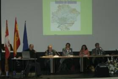 Caucci resaltó la importancia social del Camino, en especial para Europa