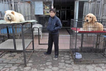 Unos perros esperan un dueño en un mercado de mascotas de una ciudad china.