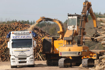 Imagen de archivo del astillado de la madera que recibe Forestalia para generar electricidad con la biomasa. L. DE LA MATA