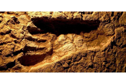 Huella humana fosilizada en el Parque Nacional de Mungo, en Australia.  Los expertos recogen muestras de ADN de todos los restos fósiles que se encuentran y los comparten en bases de datos. MICHAEL AMENDOLIA