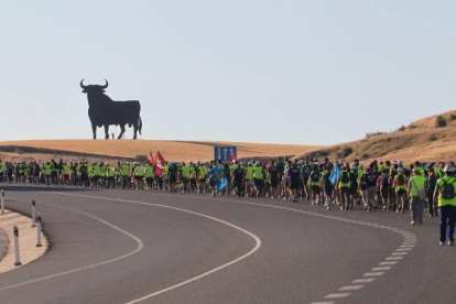 La  columna minera sobrepasó hoy los límites de Ávila y se adentró en Segovia, hasta Villacastín. El toro indultado de Osborne les despidió antes de salir de Ávila.  Foto: Norberto.