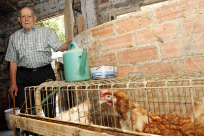 Jacinto Rodríguez, de Trobajo del Cerecedo, vive con su hijo y su nuera, que se encargan de las gallinas y conejos.