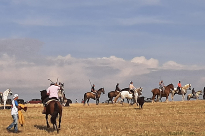 Encierro taurino de campo en Cimanes de la Vega con un novillo y una vaquilla. RAFA CAZÓN