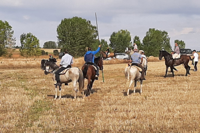 Encierro taurino de campo en Cimanes de la Vega con un novillo y una vaquilla. RAFA CAZÓN