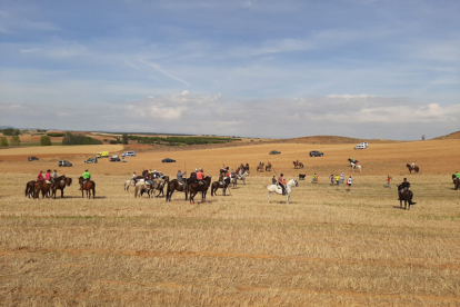 Encierro taurino de campo en Cimanes de la Vega con un novillo y una vaquilla. RAFA CAZÓN