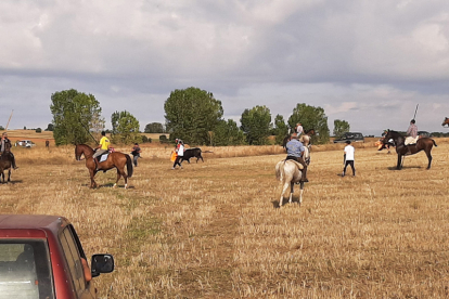 Encierro taurino de campo en Cimanes de la Vega con un novillo y una vaquilla. RAFA CAZÓN