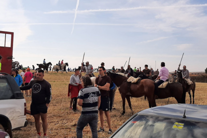 Encierro taurino de campo en Cimanes de la Vega con un novillo y una vaquilla. RAFA CAZÓN