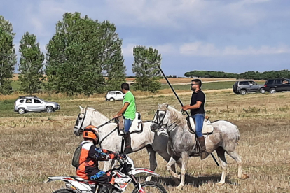 Encierro taurino de campo en Cimanes de la Vega con un novillo y una vaquilla. RAFA CAZÓN