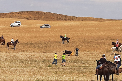 Encierro taurino de campo en Cimanes de la Vega con un novillo y una vaquilla. RAFA CAZÓN