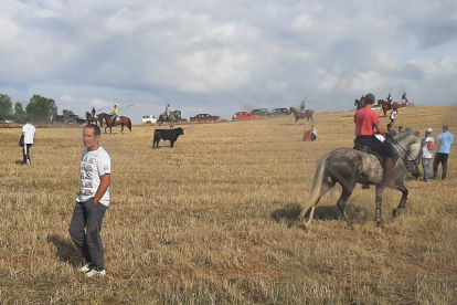 Encierro taurino de campo en Cimanes de la Vega con un novillo y una vaquilla. RAFA CAZÓN