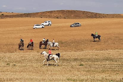 Encierro taurino de campo en Cimanes de la Vega con un novillo y una vaquilla. RAFA CAZÓN