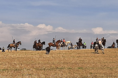 Encierro taurino de campo en Cimanes de la Vega con un novillo y una vaquilla. RAFA CAZÓN