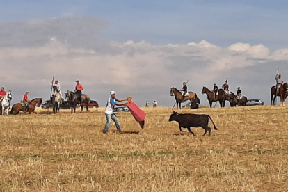 Encierro taurino de campo en Cimanes de la Vega con un novillo y una vaquilla. RAFA CAZÓN