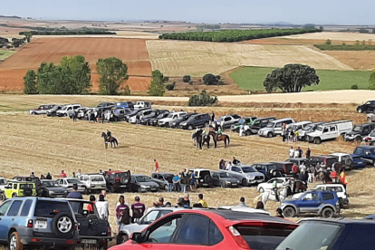 Encierro taurino de campo en Cimanes de la Vega con un novillo y una vaquilla. RAFA CAZÓN