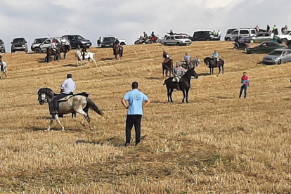 Encierro taurino de campo en Cimanes de la Vega con un novillo y una vaquilla. RAFA CAZÓN