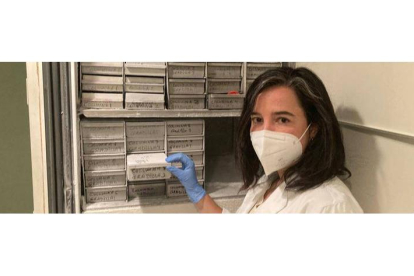 Ana Cuesta, coordinadora del Banco de Tejidos Neurológicos del Hospital de León, con las muestras congeladas. DL