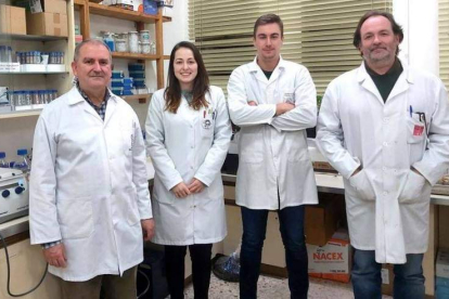 Los científicos del grupo de investigación José Luis Acebes, Alba Manga, Carlos Frey y Antonio Encina. DL