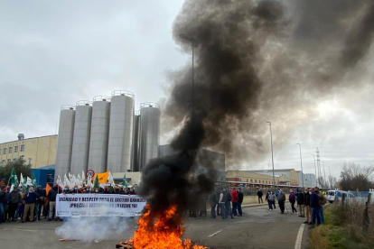Protesta de los ganaderos de leche por la crisis de precios en origen. RAMIRO