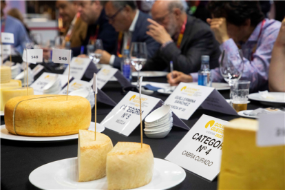 Campeonato de los Mejores Quesos de España. GOURMETSQUESOS