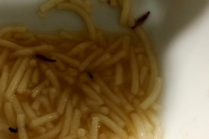 Larvas en la comida de la cafetería del Hospital de León. DL
