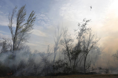 Incendio forestal en Santa Olaja de la Ribera. FERNANDO OTERO
