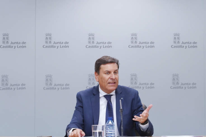 El consejero de Economía, Carlos Fernández Carriedo. NACHO GALLEGO