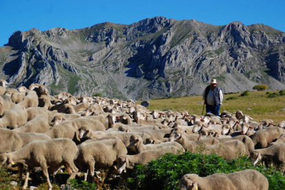 Las Verdes Trail rinde tributo a la tradición merinera, aún viva, de los puertos de Torre de Babia