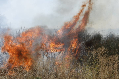 Un incendio de matorrales y monte bajo se origina en los terrenos situados una vez pasado el polígono industrial de león, en Onzonilla. MARCIANO PÉREZ
