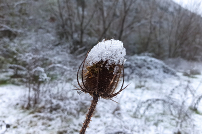 Nieve en Ponferrada. CÉSAR SÁNCHEZ / ICAL