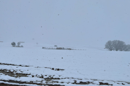 Los Oteros, en el sur de León, nevados. DL