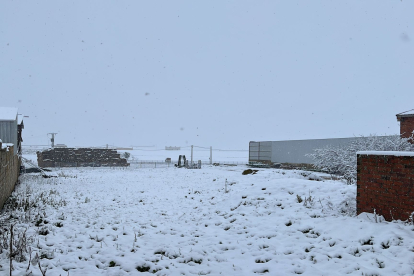 Los Oteros, en el sur de León, nevados. DL