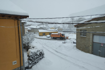 Maraña, cubierto por la nieve. DL